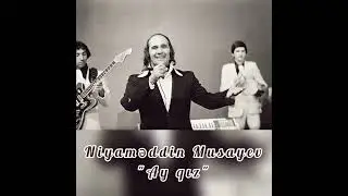 Niyaməddin Musayev - 