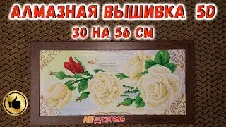 Алмазная вышивка 5D Diy Белые Розы с Алиэкспресс