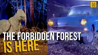 Calling all Harry Potter fans... the Forbidden Forest is here!