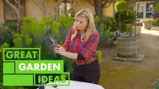 Simple Garden Hints and Tips | GARDEN | Great Home Ideas