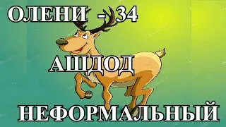 Олени-34 - Ашдод неформальный...