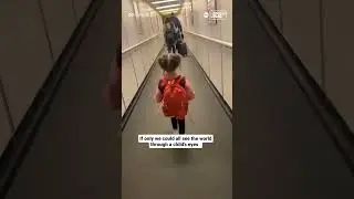 Little girl has adorable reaction to first plane trip