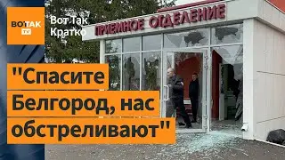 Белгородцы злятся и чувствуют себя брошенными: реакции жителей города / Вот Так. Кратко