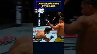 Новая восходящая ЗВЕЗДА UFC  Рамазан Темиров