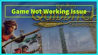 Harry Potter: Quidditch Champions Game Working Problem