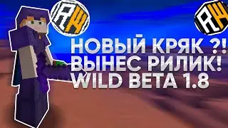 ВЫНЕС ВЕСЬ REALLYWORLD С WILD BETA | НОВЫЙ КРЯК ВИЛДА?! | СРОЧНО СЛИВ КФГ | ССЫЛКА В ОПИСАНИИ