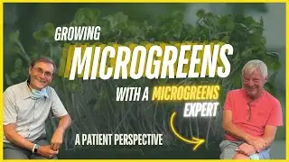 An Expert Shares How to Grow Microgreens at Home | Dr. Curnew MD