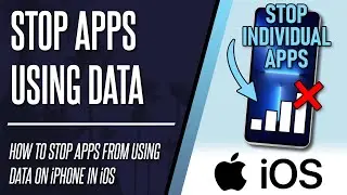 How to Stop Individual Apps From Using Data on iPhone (iOS)