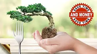 10 SECRET BONSAI HACKS FOR INSTANT BONSAI TREE MAKING | MONEY SAVING DIY BONSAI TIPS & TRICKS