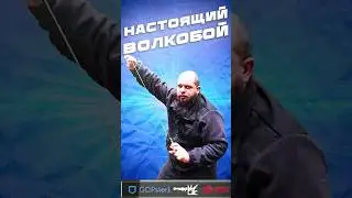 ВОЛКОБОЙ В ИСПОЛНЕНИИ