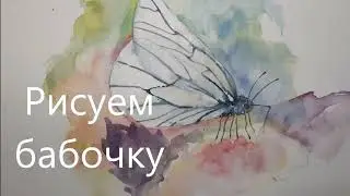 Как нарисовать белую бабочку, рисуем бабочку Боярышницу, белая с черным узором, поэтапно