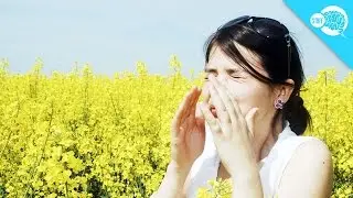 Why Do Some People Sneeze In Sunlight?