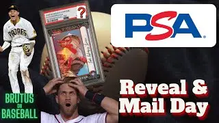 PSA Reveal & Mail Day - How Bad Did I Screw Up This Time?  1990s Inserts & Rookie Baseball Cards!