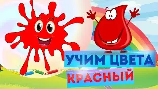 УЧИМ КРАСНЫЙ ЦВЕТ. Изучаем цвета. Развивающий МУЛЬТИК. Обучающее видео ДЛЯ ДЕТЕЙ. Дошколята Малыши