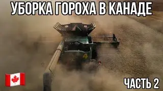 Уборка гороха на канадской ферме. Часть 2.