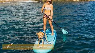 Top 5 Best Stand Up Paddle Board On Amazon 2023