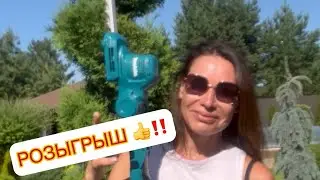 ‼️НЕ ПРОПУСТИТЕ РОЗЫГРЫШ 👍 На моем ТЕЛЕГРАММ КАНАЛЕ - ссылка в описании 😉