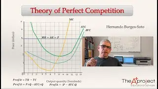 The Theory of Perfect Competition