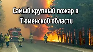 Самый крупный лесной пожар в Тюменской области, Россия 22 мая 2021 | Катаклизмы, катастрофы, климат