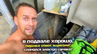 влог 05.08.24 🎞 В ПОДВАЛЕ ЧТО ТО СГОРЕЛО 🔥 СЛОМАЛСЯ САМОКАТ 😁 ПЕРСИКИ СПЕЮТ ЯЩИКАМИ