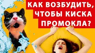 Как правильно возбудить девушку? Чтобы был оргазм - нужна прелюдия!