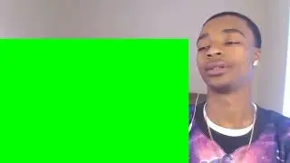 FlightReacts Dolphin Laugh Green Screen