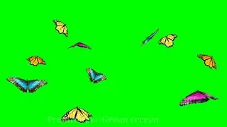 butterfly green screen effects || green screen butterfly effect || new green screen template