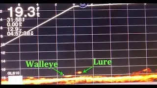 Walleye Caught Using Garmin Livescope Ice Fishing Bundle