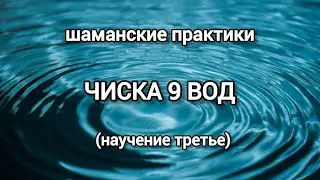 чистка девять вод