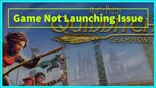 Harry Potter: Quidditch Champions Game Not Launching Issue