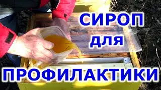 Как бороться с клещом? Хвойный сироп для профилактики варроатоза