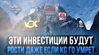 ИНВЕСТИЦИИ В СТАРЫЕ НАКЛЕЙКИ КС ГО САМЫЕ ЛУЧШИЕ ИНВЕСТИЦИИ В CS GO ИНВЕСТИЦИИ СТИМ КС ГО 2021