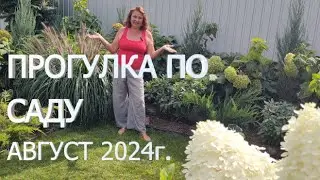 ПРОГУЛКА ПО САДУ АВГУСТ 2024г. Почему не зацветут рододендроны, гербициды для газона,про полив, розы