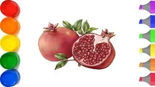 How to Draw a Pomegranate / Как Нарисовать Гранат / Anor rasmini chizish / bolajonlar uchun rasmlar