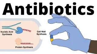 Antibiotics - Mechanisms of Action (Classification) and Antibiotic Resistance