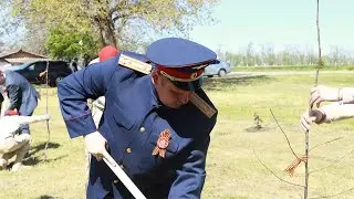 Рябиновая аллея появилась в поселке Партизанском в рамках международной акции «Сад памяти»