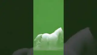 Smoke horse Green screen effects video