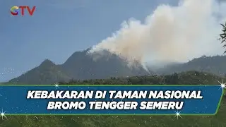 Kebakaran Hutan dan Lahan Taman Nasional Bromo Tengger Semeru - BIP 04/09