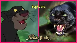 The Jungle Book Characters IN REAL LIFE 👉@WANAPlus