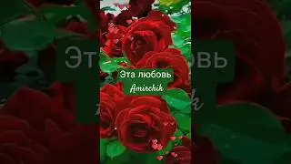 Эта любовь - Amirchik