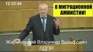 В.В.  Жириновский и Председатель Госдумы РФ В.В. Володин о МИГРАЦИОННОЙ АМНИСТИИ В РОССИИ