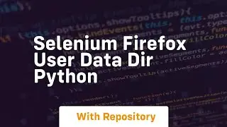 selenium firefox user data dir python