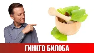 Как улучшить память и работу мозга? Гингко Билоба поможет 👍