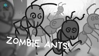 ZOMBIE ANTS ARE REAL! | SCIENCE MINUTE