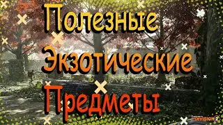 DIVISION 2 ПОЛЕЗНЫЕ ЭКЗОТЫ