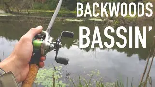 Backwoods Bass Fishing (PB Ohio Bass) -- Bass Daily #5