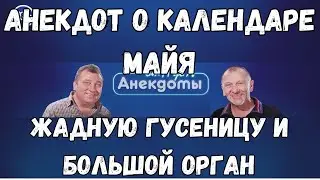 Анекдот о календаре Майя,  жадную гусеницу и большой орган