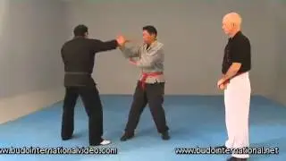 Kajukenbo Forms & Techniques