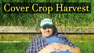 Harvesting Your Cover Crops