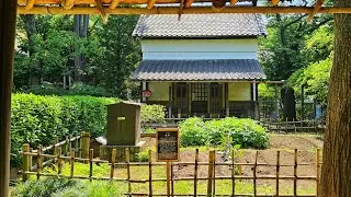 Live Tokyo Morning Walk 👟 It Seems Summer Is Here 🥵